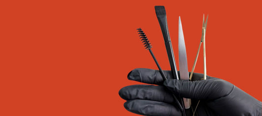 How to make the most of all four seasons in 2026