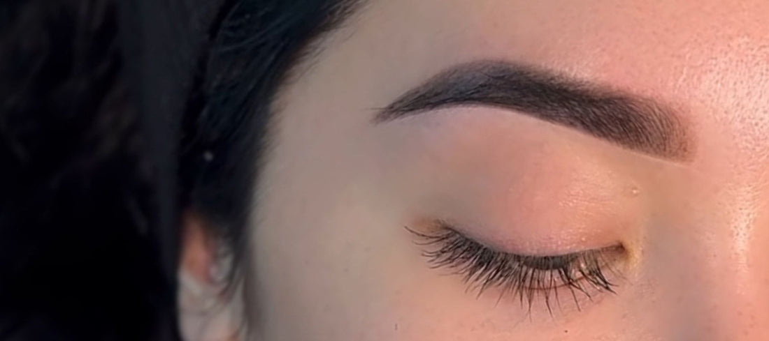 Hybrid Brows vs Brow Tint vs Henna vs PMU: Which Brow Treatment should you offer?